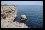 Tyulenovo -23-03-2019 - Bogdan Balaban